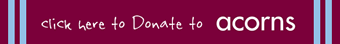 AVFC Aston Villa Blog
